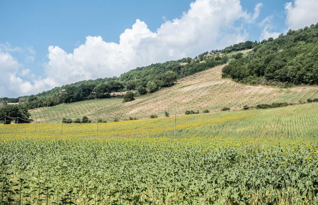 Agriturismo Goccia di Luna - Foto 78