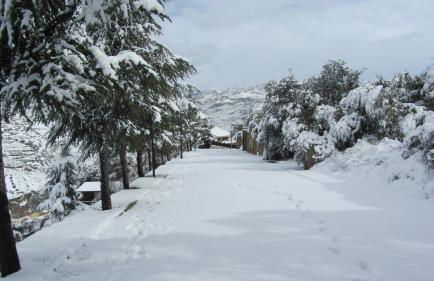 Encinar de Aguas Blancas - Foto 41