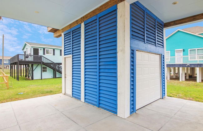 Birds of Paradise - Foto 17