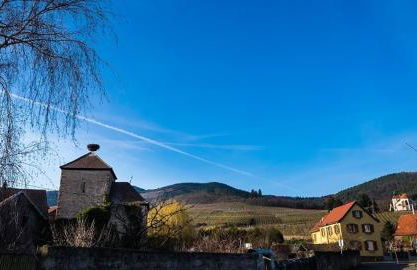 Le p'tit coin de chez nous - Foto 61