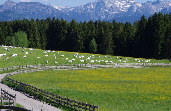 Characteristic Apartment in Bernbeuren - Foto 27