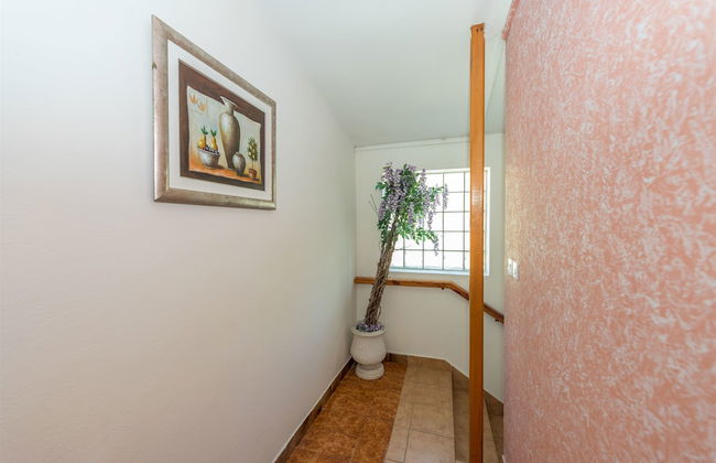 Apartments and Rooms Dragica - Photo 29