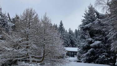 Idyllisches Ferienhaus am Wald - Foto 5