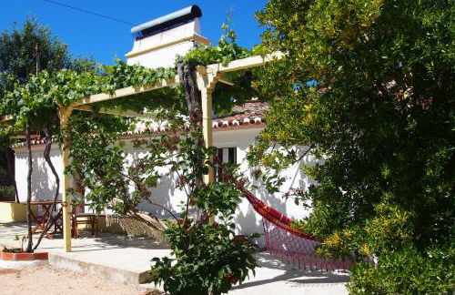 Monte dos Freixos Country House - Foto 49