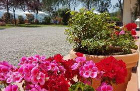 Agriturismo Il Catrino - Foto 18