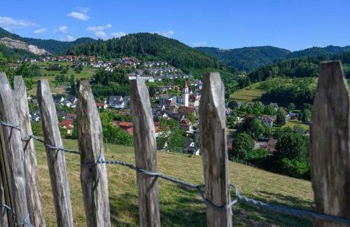 Ferienhaus Ottenhöfen - Sauna | Hot Tub - Foto 44