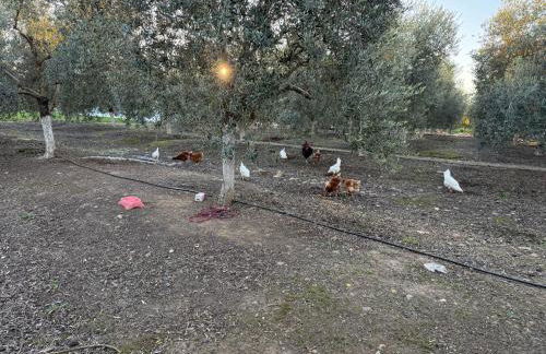 La Casa del Flamenco - Foto 37