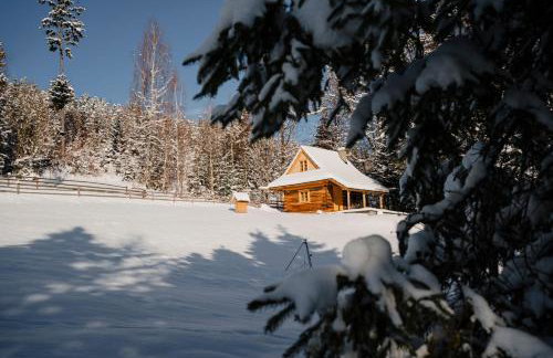 Sopki Stopki Polana Wspólna - Foto 3