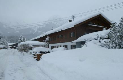 Holzhaus-Lang - Foto 2