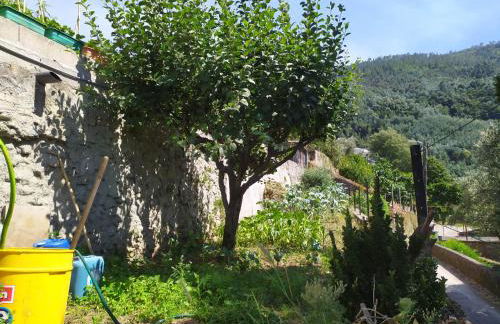 Casa da Rota dos Moinhos - Foto 12