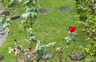 Flat - Condomínio Brisa da Serra - Gravatá - Foto 35