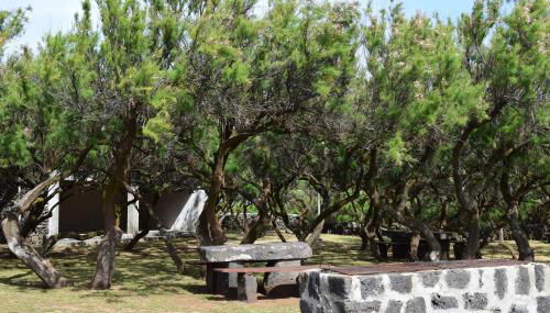 Casa da Vitória - Foto 5