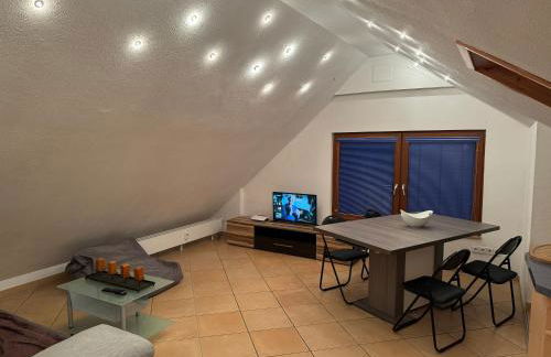 DG Wohnung in Schwenningen - Foto 1