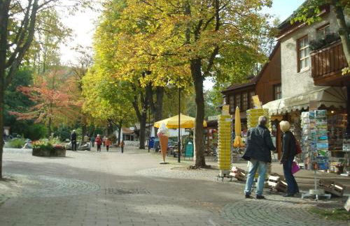 Holiday apartment in Harz with 1 bedroom - Foto 15