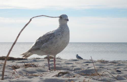 Haus an der Tanne - Foto 51