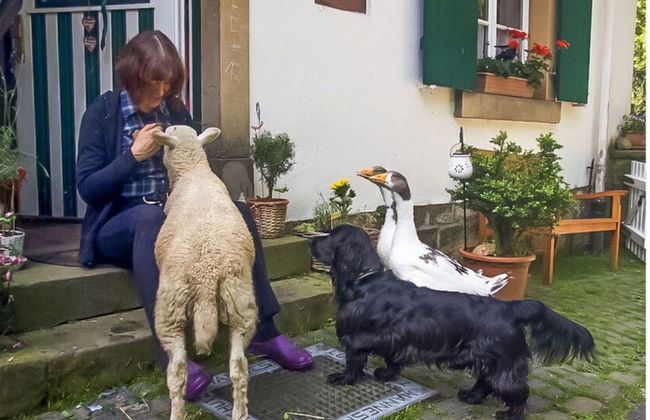 Apartment in a Wooded Area on Lake Faak - Foto 18