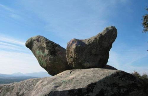 El Pinar del Rondero J&M En Plena Naturaleza - Photo 62