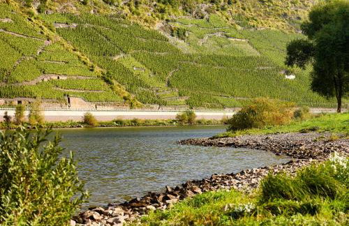 Ferienhaus Zenz - Ferienwohungen - Foto 20