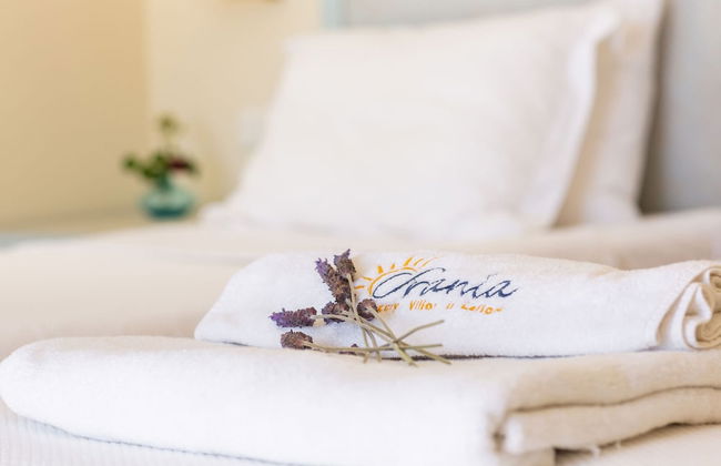 Modern Villa in Vasiliki with Swimming Pool & Hot Tub - Foto 8