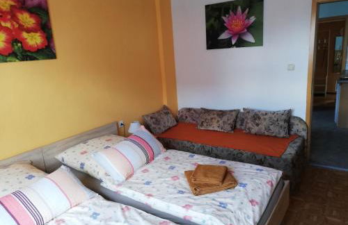 Apartment in Ilmenau 42915 - Foto 12