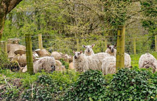 1 Bed in Ilfracombe oc-91652 - Photo 26