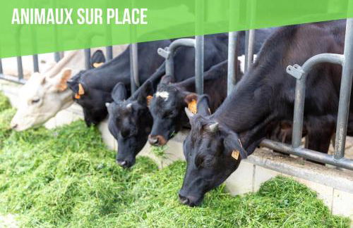 Chez Marguerite Gîtes à la ferme - Foto 23