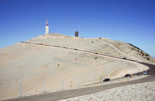 La Petite Maison - Photo 18