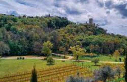 Villa FARO - new house, near beaches, heated pool, playroom, bbq, Salvore - Istria - Foto 54