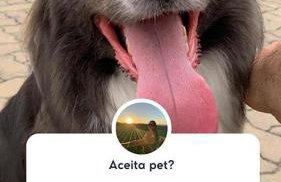 Chalé Sunset com Hidro, lareira, piscina, cavalo, trilha, tiro ao alvo - Foto 35