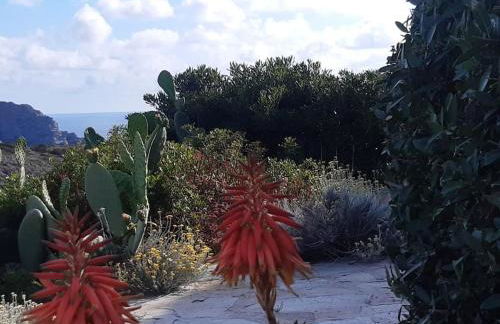 Panoramic villa on top of Capo Falcone - Foto 62