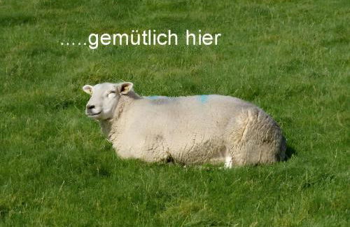 Klaus Jensen , Unter den Linden - Foto 52