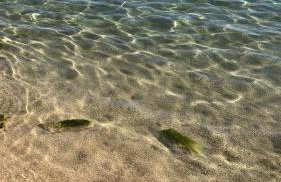 Apartmani Harmonija - Foto 19