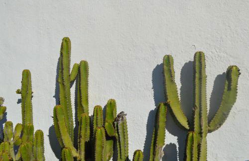 Casa Cabrera - 2 apartamentos con vistas al mar - Foto 19