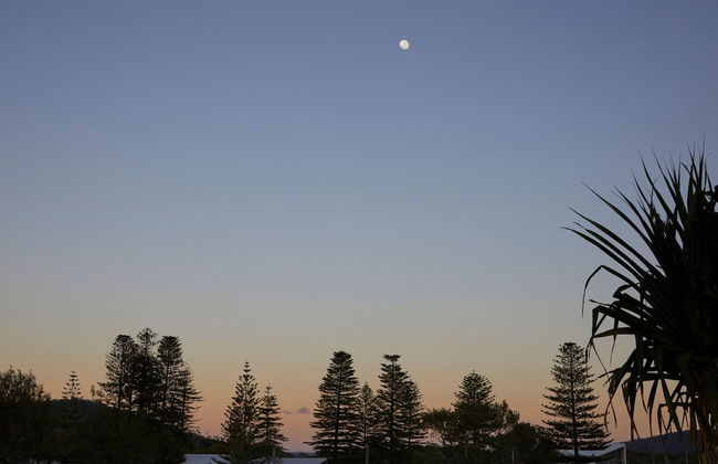 Crescent Head Holiday Park - Foto 30