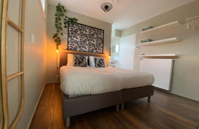 Hakuna Matata - Photo 4