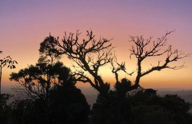 Chalé do Lopo - Photo 39