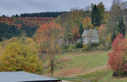 Jagthaus am Rappelstein - Foto 24