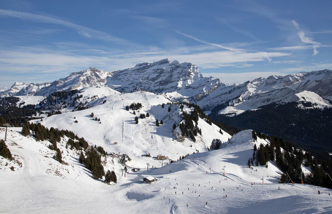 Chaperon Rouge A3 - Foto 25