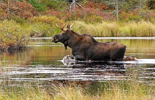 2 Person Holiday Home in Mora - Foto 12