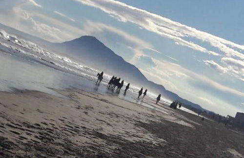 Paradise - Oliva Nova playa MET&GOLF - Photo 15