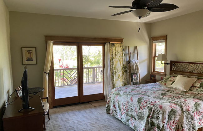 Volcano Rainforest Lodge - Foto 11