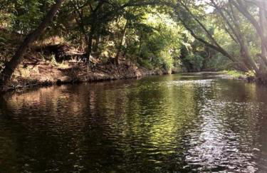 Modern Tiny House Rental Perfect for Glamping near Austin - Foto 17