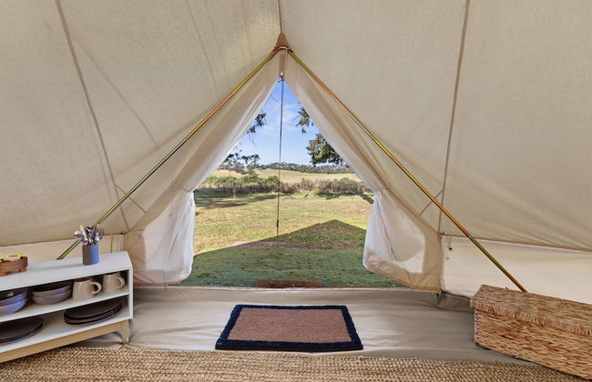 Forrest Holiday Park - Photo 14