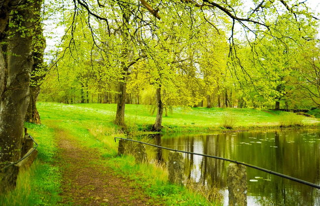 Kronovalls vinslott - Foto 29