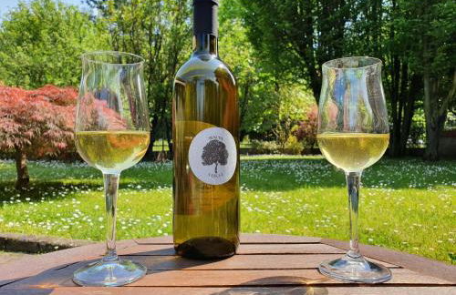 Apartment Sonnenblume Wohnung by Interhome - Foto 46