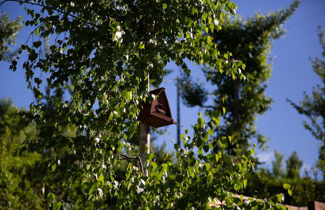 Vale de São Torcato Houses and Wine Bar - Photo 62