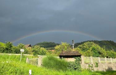 Außergewöhnliche 5 Zimmer Penthouse Wohnung in Kehl - Foto 17