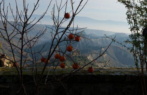Palazzo Contino - Foto 58