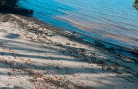 Harbor View Elite-Luxury Apartment-Amazing Views - Foto 66