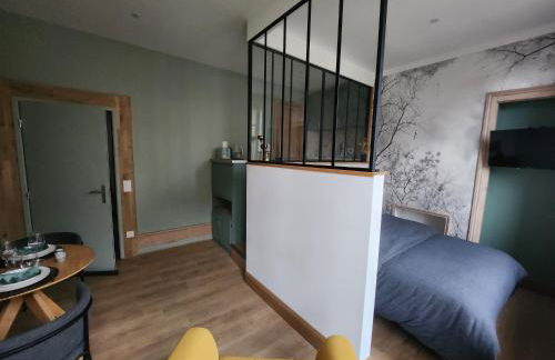 Suite Delvincourt - Rue Calme dans centre ville - Parking gratuit à proximité - Foto 13